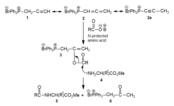 Image for Rapid Access to Substituted Amides and Dipeptides via
prop-2-ynyl-triphenylphosphonium bromide: An Allene-mediated Coupling Strategy